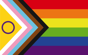 Intersex Inclusion Pride Flag